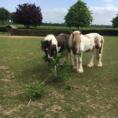 En Wellness De Waalhoeve Bed & Breakfast *